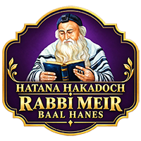 Institutions Rabbi Meir Baal Haness